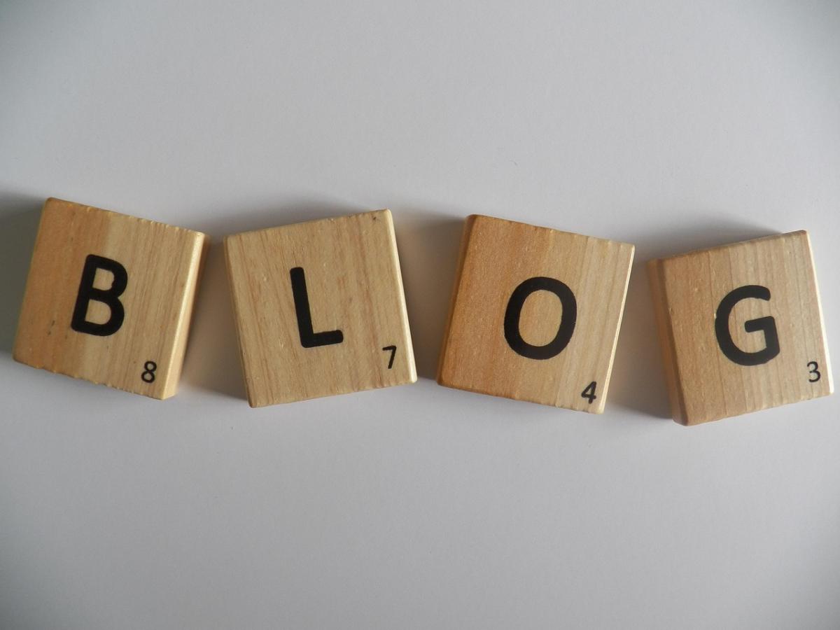 Private Blog Network (PBN) : guide complet pour le SEO
